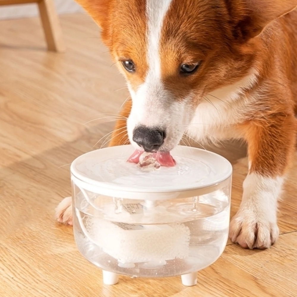 Transparent Pet‎ Water Fountain Automatic Cat & Dog Flower USB Powered Dispenser - Picture 6 of 14